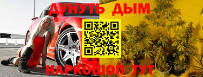 шишки Коммунар