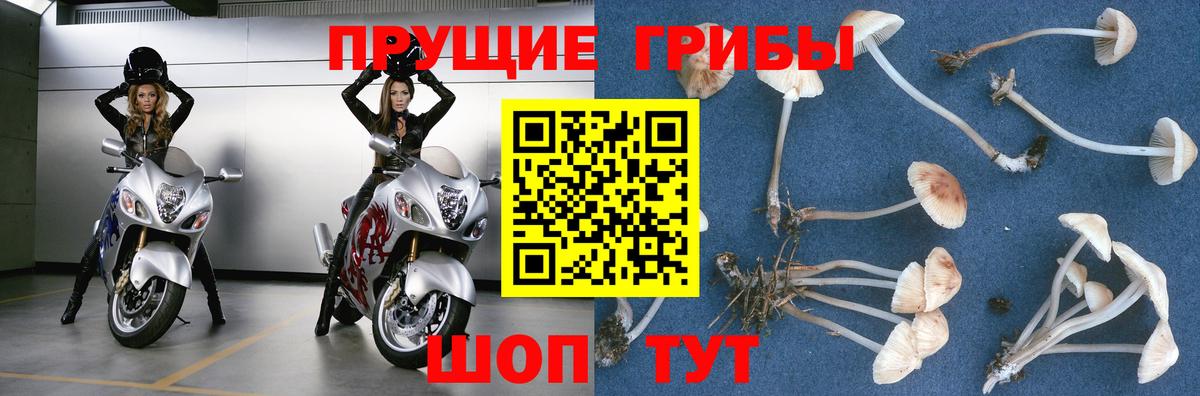 Галлюциногенные грибы прущие грибы Корсаков