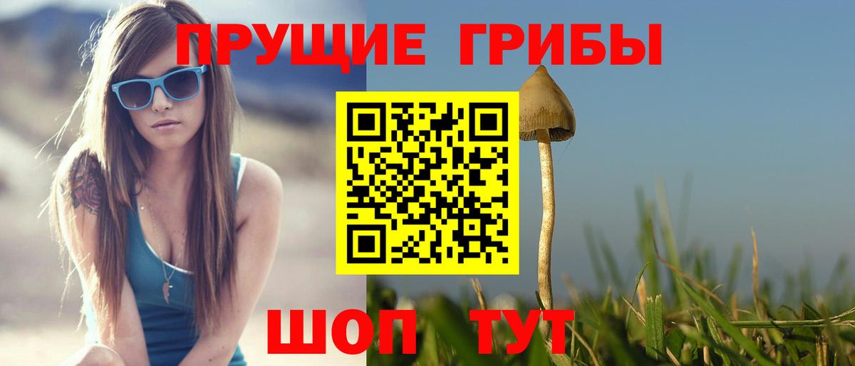 Корсаков  Галлюциногенные грибы прущие грибы  Вход с VPN 