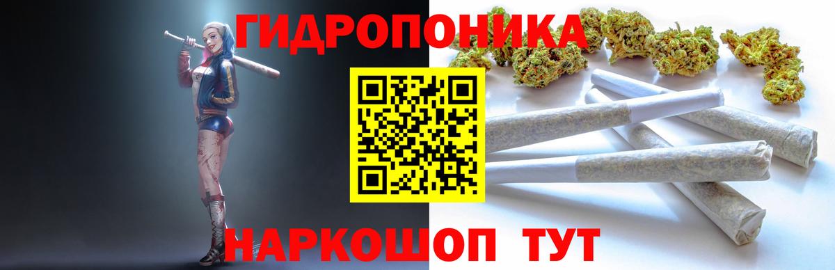 Каннабис VHQ Корсаков